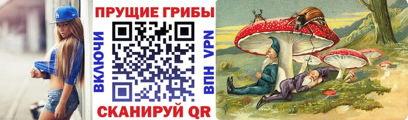 Галлюциногенные грибы MAGIC MUSHROOMS  Купить закладки  Апшеронск 